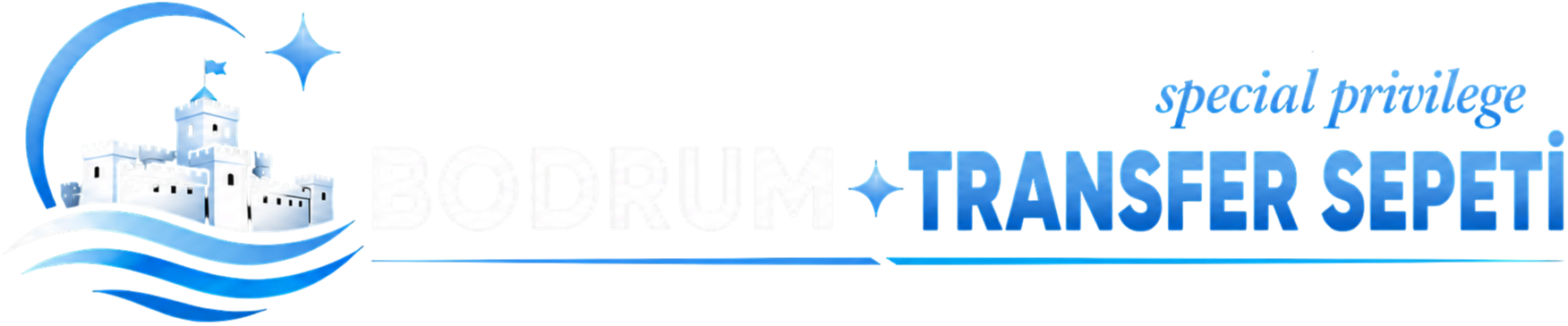 Footer Logo